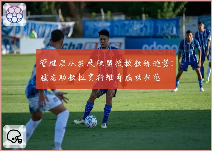 管理层从发展联盟提拔教练趋势：猛龙助教拉贾科维奇成功典范