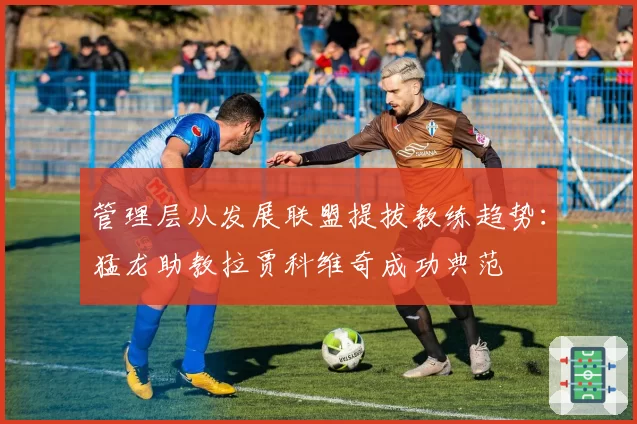 管理层从发展联盟提拔教练趋势：猛龙助教拉贾科维奇成功典范