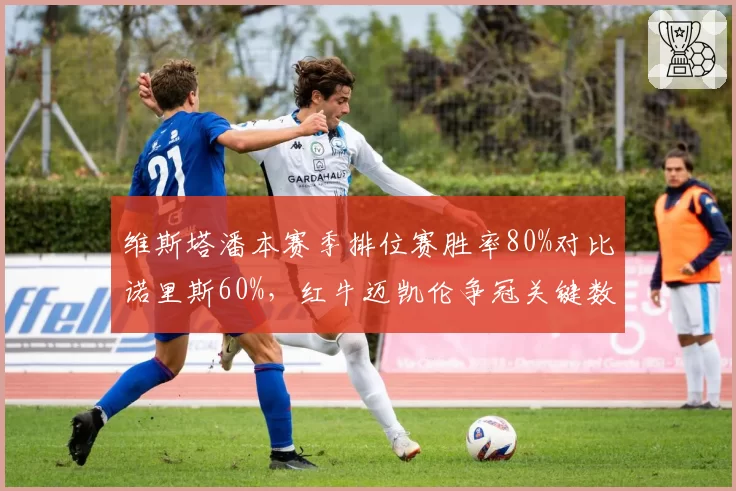 维斯塔潘本赛季排位赛胜率80%对比诺里斯60%,红牛迈凯伦争冠关键数据分化