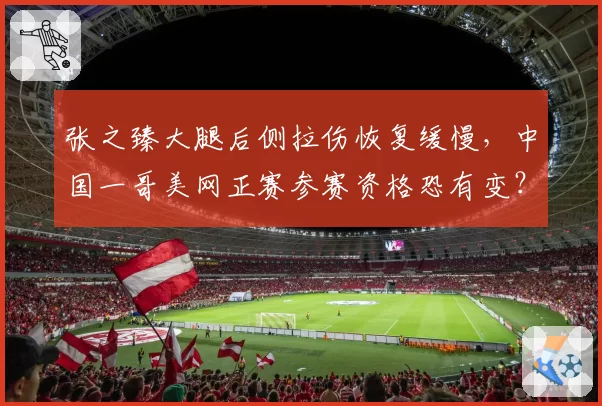 张之臻大腿后侧拉伤恢复缓慢，中国一哥美网正赛参赛资格恐有变？